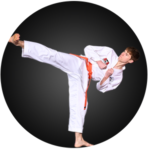 Martial Arts Cloverdale Black Belt Academy Adult Programs